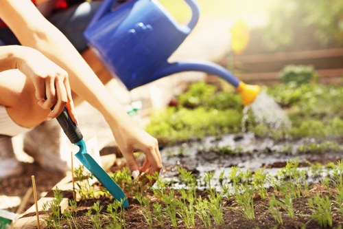 Landscaping team reviewing a customer complaint form
