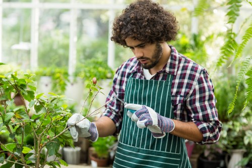 A young man with curly dark hair, dressed in a checkered shirt and a green striped gardening apron, is working outdoors in a lush greenhouse; he is carefully trimming a small flowering plant with gardening gloves on. The greenhouse is filled with an array of healthy green plants, including leafy shrubs and flowering varieties, set against a background of glass walls and natural daylight. The environment appears well-maintained, with neatly arranged potted plants on shelves and the structured layout of the greenhouse creating a nurturing space for garden development. The soil appears rich and dark, complementary to the vibrant greenery and the gentle natural light filtering through the glass. This scene captures detailed aspects of sustainable gardening practices, emphasizing the importance of plant care, gardening tools, and a clean, organized outdoor environment, potentially associated with local services such as those offered by Landscapers Camden Town in the area with a postcode around NW1 or NW5, in North West London, supporting sustainable and eco-friendly outdoor maintenance practices.