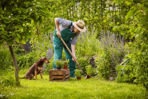 Gardener pruning bushes in Camden Town garden
