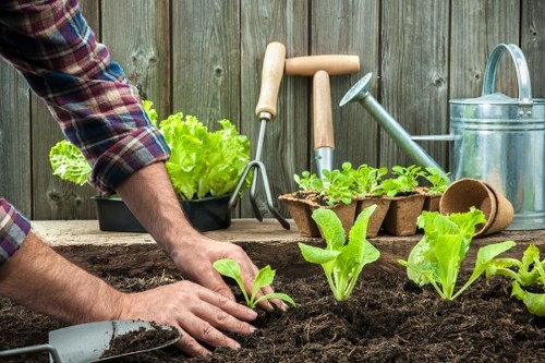 Urban lawn maintenance in Camden Town with shade and paving