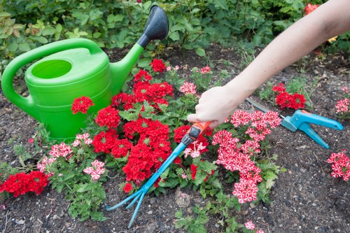 A close-up view of a garden bed in a landscaped outdoor space in Camden Town, showcasing a mix of pink and red flowering plants arranged along a soil border. In the background, a lush hedge or shrubbery provides greenery and enclosure to the garden. On the left, a bright green plastic watering can rests on the soil, ready for outdoor watering tasks. On the right, a person's arm is visible, holding a pair of blue-handled garden shears poised over the plants, indicating ongoing gardening maintenance. The ground appears well-tilled and free of weeds, with natural lighting suggesting a clear day. This scene illustrates typical gardening activities and elements involved in lawn and plant care, relevant to professional landscape and garden maintenance services offered by Landscapers Camden Town in the local area.