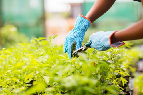Sustainable landscaping implemented by Camden Town Landscapers