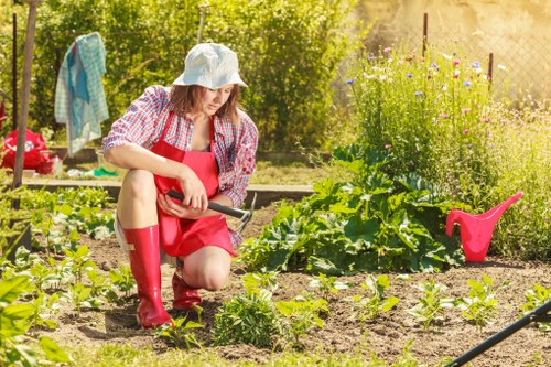 Professional garden maintenance service in action