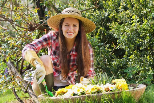 Camden Town garden showcasing climate-friendly plants