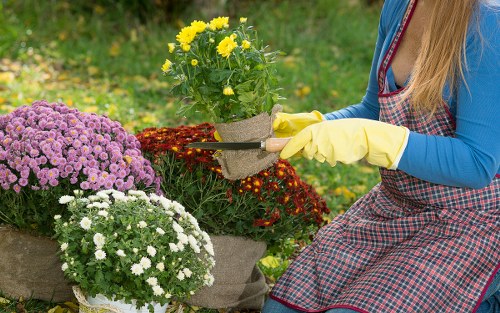Professional landscapers working on a garden maintenance project