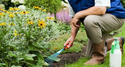 A gardener kneeling on a well-maintained lawn in a residential garden, wearing beige rubber boots and a blue and white checkered shirt, tending to a flower bed with a small gardening tool in hand. The flower bed contains vibrant yellow daisies and purple flowering plants, bordered by a line of flowers and shrubs with lush green foliage. The grass is neatly trimmed with an even, dense green surface, and the background features taller trees and flowering bushes, suggesting a landscaped outdoor space in Camden Town. The weather appears sunny and bright, highlighting the natural tones of the garden elements. The scene reflects professional gardening services focused on outdoor maintenance and garden care, aligning with the themes of landscaping and lawn management provided by Landscapers Camden Town near postcode NW1.
