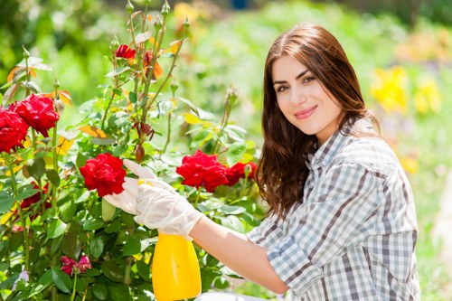 A young woman with long brown hair, dressed in a light checkered shirt, is pruning bright red roses in a well-maintained garden. She is wearing white gardening gloves and holding a yellow spray bottle in her left hand, while gently trimming the flower with her right hand. The garden features lush green foliage, with a mix of flowering plants, including some pink blossoms visible among the greenery. The background shows a vibrant, sunny outdoor space with trees and shrubs, typical of a landscaped front or backyard garden in Camden Town. The overall scene highlights outdoor gardening activities, emphasizing lawn and shrub maintenance, and the natural, colourful environment. This setting aligns with gardening and landscaping services offered by Landscapers Camden Town, focusing on garden care and plant maintenance, situated in the London borough near postcode NW1, serving local residents and properties.