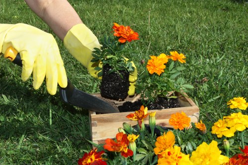 A gardener wearing yellow gloves is planting a vibrant orange marigold in a small wooden planter box placed on a well-maintained grass lawn. The planter contains dark soil, and several other marigolds with bright yellow and orange blooms are surrounding it, creating a colorful display typical of a London garden. In the background, there is a neatly trimmed lawn area with hints of greenery, suggesting a pleasant outdoor space in Camden Town. The scene is evenly lit, indicating a clear and possibly sunny day, ideal for gardening work. The garden appears organized with a focus on flower planting, fitting with landscaping and gardening services available in Camden Town and the surrounding postcode areas. The image highlights routine planting activities that Landscapers Camden Town might carry out as part of their professional gardening services, including flowerbed enhancement and outdoor beautification, capturing the natural tones and textures of garden plants and soil.