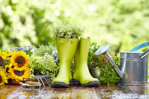 Sustainable garden practices in Camden Town