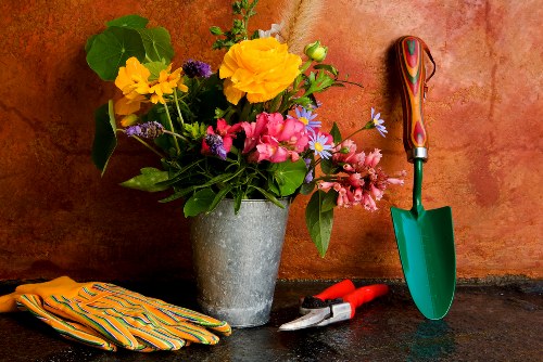 A collection of gardening tools and supplies arranged on a dark outdoor surface against a warm, terracotta-colored wall. The display includes a metal pot filled with a vibrant mix of flowers and greenery, featuring yellow, pink, purple, and white blooms, along with large green leaves. To the right of the flower pot, a bright green hand trowel with a wooden handle is upright, leaning against the wall. On the dark surface, there are a pair of red-handled pruning shears, along with a colorful pair of gardening gloves with orange, yellow, and green stripes. The scene suggests a well-organized gardening setup typical for outdoor garden maintenance and flower arranging, with the background indicating a cozy, cultivated outdoor space in Camden Town, suitable for professional gardening services from Landscapers Camden Town.