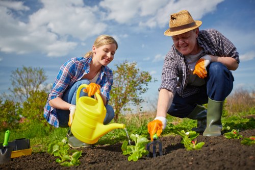 A woman and a man are working together in a garden, planting young green seedlings in freshly turned dark soil. The woman, who has blonde hair and is dressed in a blue plaid shirt, is holding a yellow watering can, watering the plants. The man is wearing a straw hat, a checkered shirt, and green rubber boots, using a small gardening trowel to tend the soil around the seedlings. The garden is part of an outdoor yard with a natural, lush background featuring trees and a partly cloudy sky, indicating a bright day with natural light that highlights the vibrant greens and earthy browns of the garden beds. The scene demonstrates outdoor gardening activities typical of professional gardening services in Camden Town, where careful planting and maintenance are essential for healthy garden development. The setting in a landscaped yard with clear plantings and gardening tools emphasizes a focus on sustainable and professional garden care suited for local outdoor spaces.
