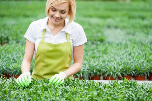 A young woman with short blonde hair, wearing a white shirt, a green apron, and gardening gloves, is working in a well-maintained outdoor garden nursery, tending to rows of lush, green potted plants. The garden features cultivated flower beds with dark soil and neatly aligned pots, set against a backdrop of lush greenery that includes bushes and small trees. The setting appears to be a professional gardening or landscaping operation in Camden Town, with bright natural lighting indicating a mild, sunny day. The scene reflects careful outdoor plant care, consistent with services offered by Landscapers Camden Town, emphasizing landscape planting and garden maintenance. The background shows a grassy area and a hedge line, providing an inviting and vibrant atmosphere for gardening work, with the focus on healthy plants in a tidy, organized environment suitable for flower bed creation and landscaping projects.