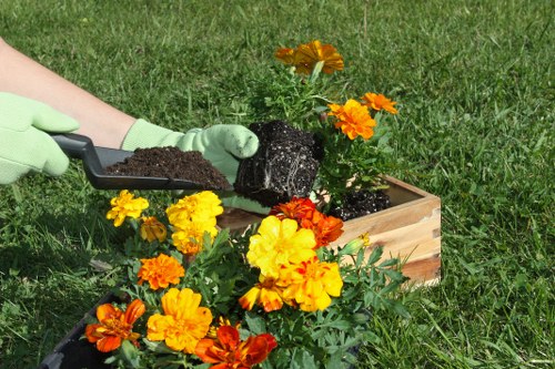 Professional lawn mowing service in Camden
