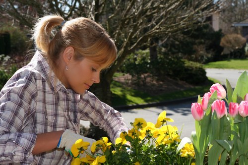 A woman with blonde hair tied back in a ponytail, wearing a plaid shirt and gardening gloves, tending to a garden bed in a residential outdoor space. The garden features vibrant yellow and pink tulips in bloom, with lush green foliage surrounding them. Behind her, there are well-maintained lawn areas and a background of trees with bare branches, indicating early spring growth. The scene is illuminated by natural daylight, with a clear sky overhead, suggesting a pleasant, mild weather condition. The setting appears to be part of a landscaped front or back garden in Camden Town, with neatly arranged flower beds and a paved pathway. The woman is focused on her gardening work, supporting outdoor maintenance and garden care services offered by Landscapers Camden Town, within a natural and well-organized outdoor environment.