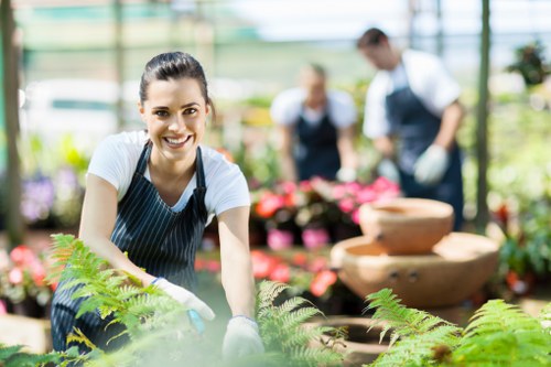 Various plant selections for Camden landscaping