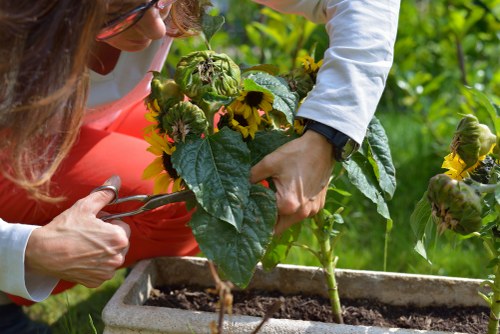 Smart technology integrated into Camden's landscape